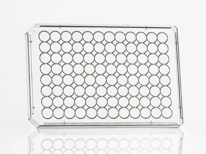 4ti-0282 | Microplate 96 Lid