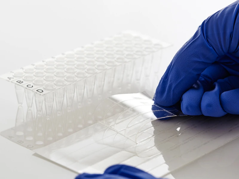 4ti-0500/12 | PCR Seal | Perforated to Tear into 12 Well Strips | Peeling Detail