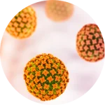 79019-D-2_Q2-Promo-Email_200x200