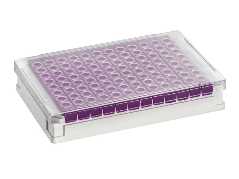 8 Well PCR Tube Strip Adapter (4ti-0371) with Adapter Lid (4ti-0292) | With 8 Well PCR Tube Strip with PC Frame