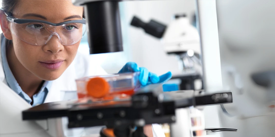 Autologous T-cell immunotherapy therapy for AL