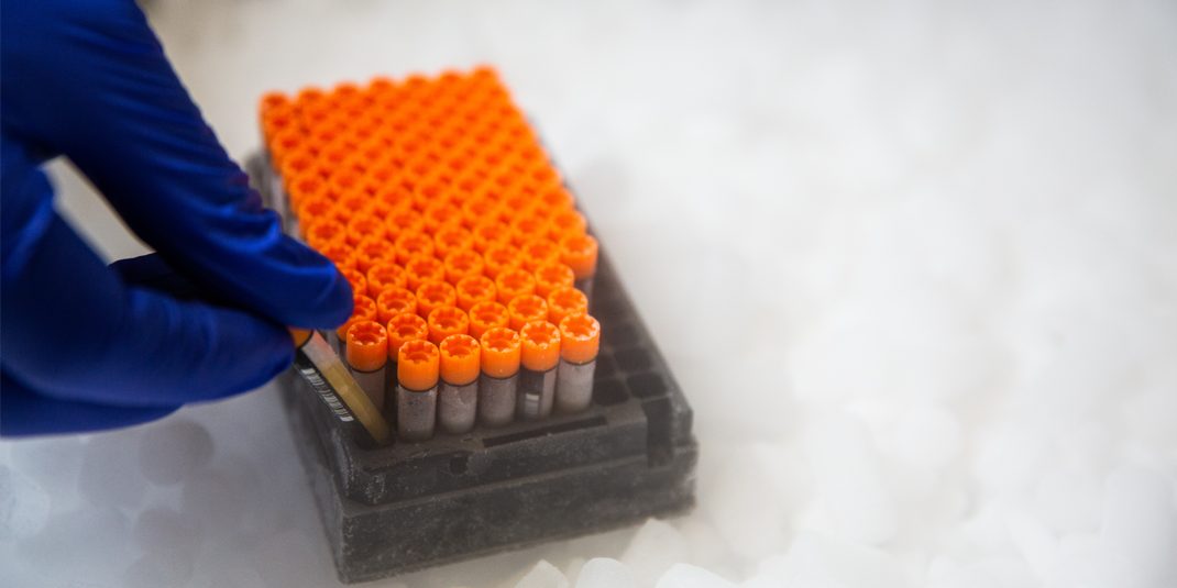 Racked cryo vials in cold environment