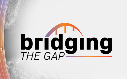 Bridging the Gap Webinar Series