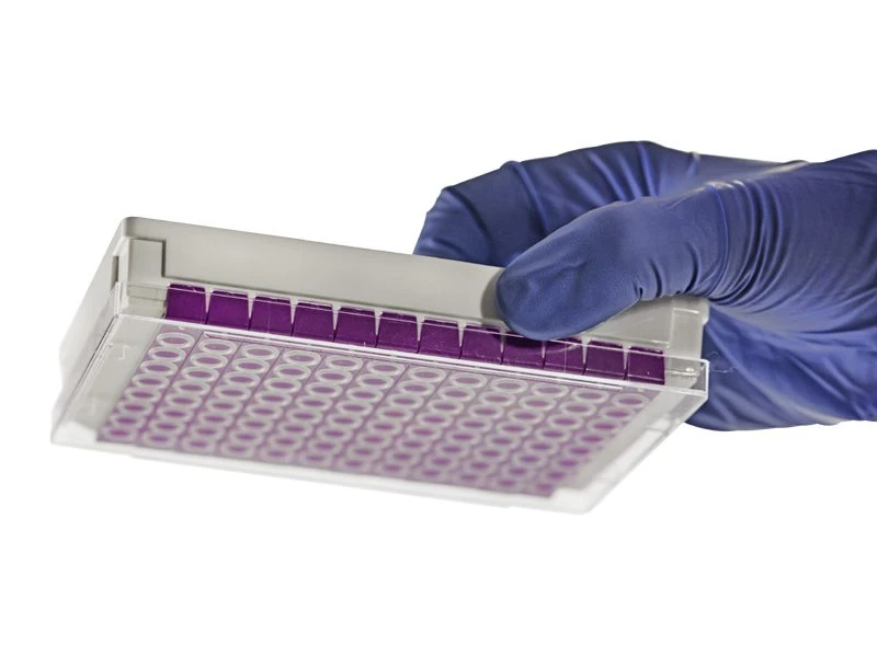 8 Well PCR Tube Strip Adapter (4ti-0371) with Adapter Lid (4ti-0292) | With 8 Well PCR Tube Strip with PC Frame | Secure Fit Detail