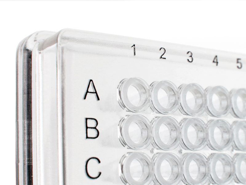 4ti-0384/C | FrameStar 384 Well Skirted PCR Plate | Corner Detail