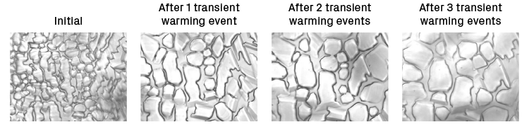 Microscopic images of ice recrystallization