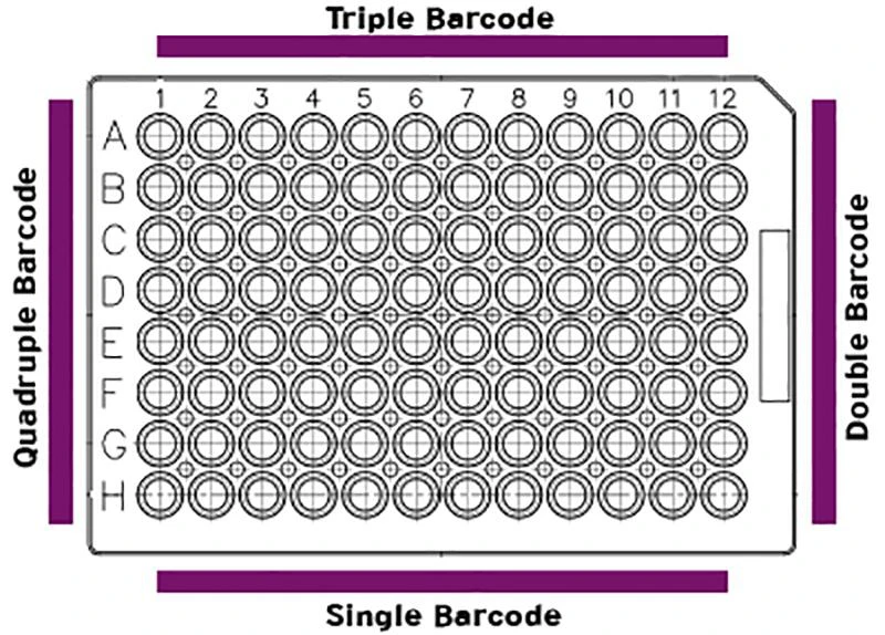 Schematic of standard barcoded plates