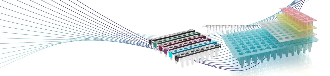 Group of PCR tube strips and plate segments