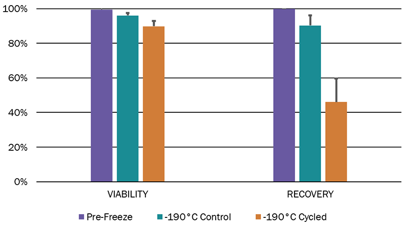 Viability and recovery of mesenchymal stem cells